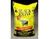 Black Kow Manure 1 Cubic Foot Bag